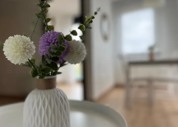 Campo - Monabri Apartment Suances